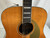 Used Fender PALOMINO VINTAGE AGN W/HDSHL Solid Top Acoustic Guitar Wood 40012-S000324901 View 6