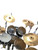 Used Tama 5 PC W/HARDWARE/RIDE/CRASH/CRASH/HATS Drum Shells and Hardware Black 41136-S000160584 View 13