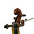 Used Yamaha V-5 4/4 W/CASE+BOW Violin 4/4 Size 40009-S000322769 View 7