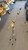 Used Space Percussion SP BOOM STAND Boom Stand 41116-S000056623 View 1