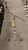 Used Pearl HEAVY DUTY BOOM STAND Boom Stand 41116-S000056663 View 1
