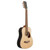 New Ibanez PF2BE 3/4 Size Acoustic Guitar - Open Pore Natural 40051-010PF2BE-OPN View 1
