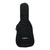 Used Road Runner Electric Gig Bag 41117-S000060061 View 1
