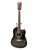 Used Glen Burton VCH009 Laminate Top Acoustic Guitar Silver Burst 41135-S000011034 View 1