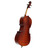 Noble Brothers CELLO 4/4 MADE IN LONGMONT Cello  View 2