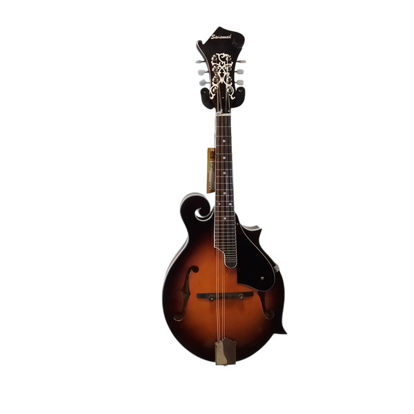 Used Recording King RAM-3-BK Mandolin Guitar - Other