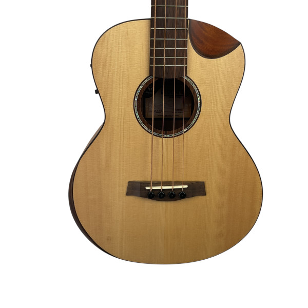 希少‼︎Ovation オベーションModel 3862.