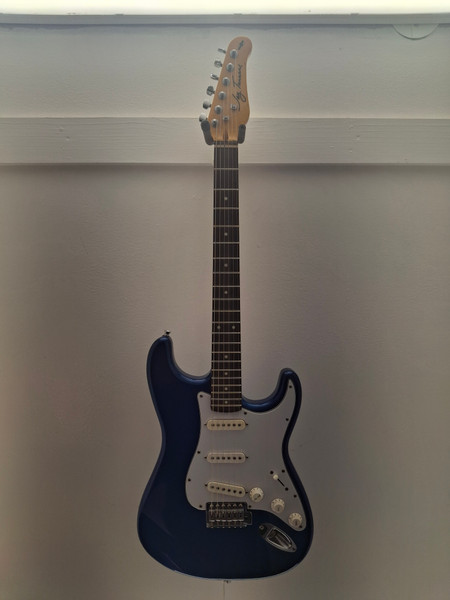 SX STANDARD SERIES CUSTOM HANDMADE ストラト SX Custom 6-String Electric Guitar Handmade Standard Series