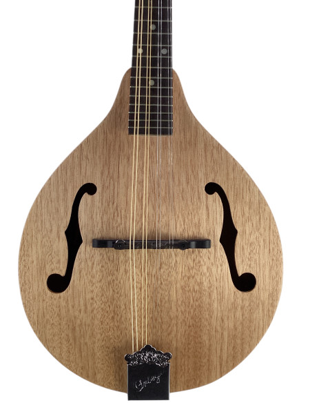 Used Epiphone MM-20/AS MANDOLIN Mandolin