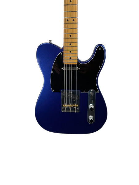 Used Fender JIM ROOT TELECASTER ARTIST SERIES Electric Guitar