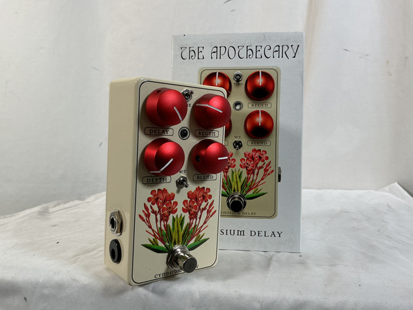 Used RED PANDA RASTER Delay Pedal