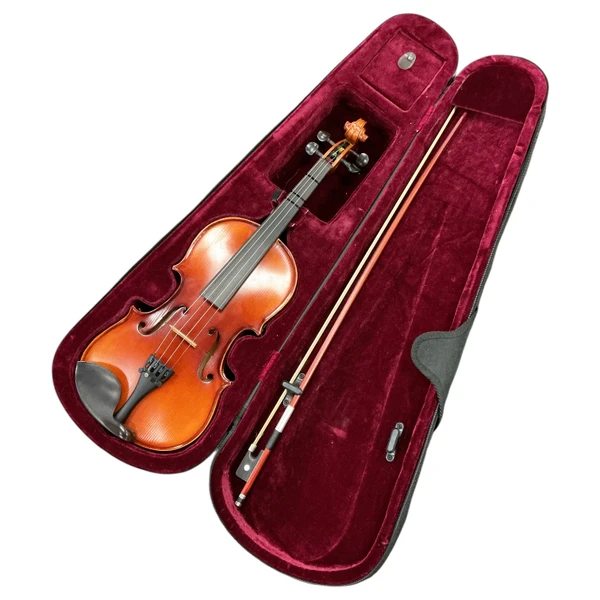 Used Palatino VN-350 4/4 Violin 4/4 Size