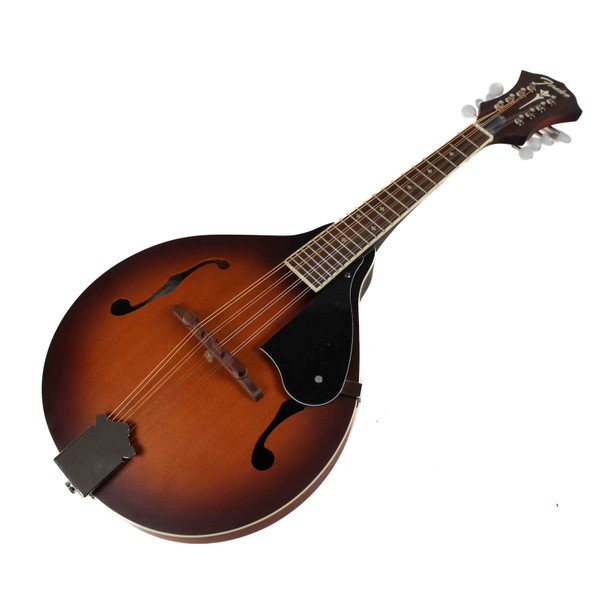弦楽器 MANDOBIRD VIII Used Epiphone MANDOBIRD VIII Mandolin