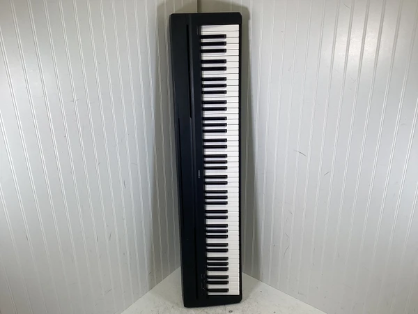 YAMAHA electronic piano P-120S 88鍵盤 Yamaha P120 88 Key Stage Piano with Speakers Cherry Silver