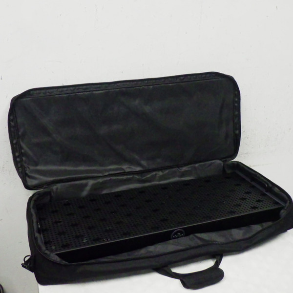 Used Temple Audio DUO 34 WITH BAG Pedal Board