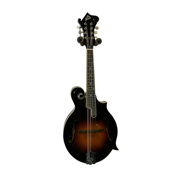 【新同品】The Loar LM-520 VS フラットマンドリン Used The Loar LM-520-VS Mandolin