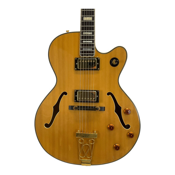 Used Fano OMNIS GF6 Semi-Hollow Electric Guitar Sunburst 6-String