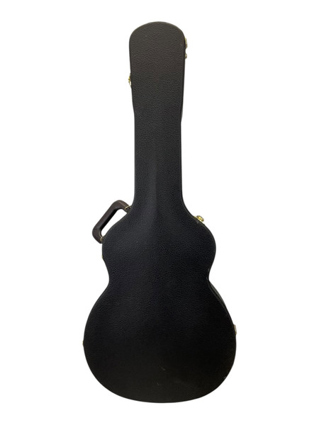 Used Mono MUSIC MAN STINGRAY Guitar Case
