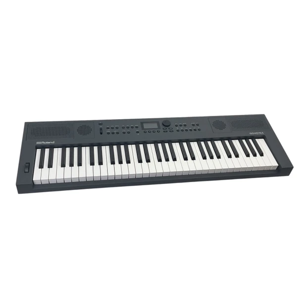 Used Korg TRITON WORKSTATION 61-Key Keyboard 61-Key