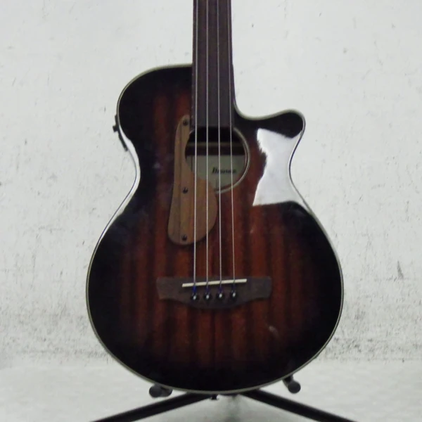 Used Michael Kelly DRAGONFLY FRETLESS 4 Acoustic Bass Guitar