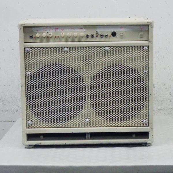 Used SWR WORKINGPRO 10 Bass Combo