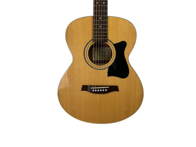 PF54 | PF | ACOUSTIC GUITARS | PRODUCTS | Ibanez guitars