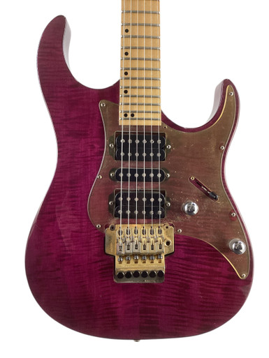 Amazon.com: Washburn 6 String Parallaxe Dbl Cut S.E.C. Bolt