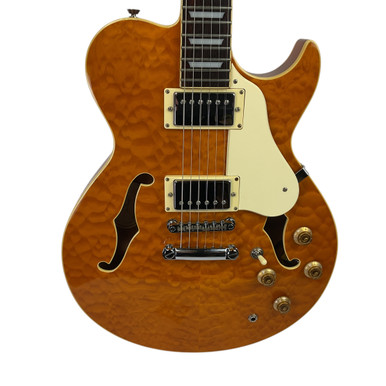 Used Samick GREG BENNETT ROYALE Semi-Hollow Electric Guitar Amber