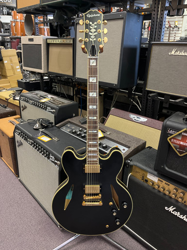 a*a様 Epiphone Emily Wolfe Sheraton Steal 965b985b-8e80-4802-a022-