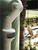 3" Air Gap Backflow Prevention (TAAG99)