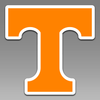 Tennessee Power T UT Volunteers Vols 119 Vinyl Decal Sticker