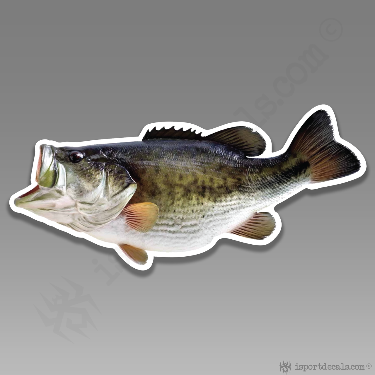 Bass Fish Angler Fishing Car Vinyl Decal Sticker 224