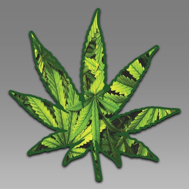 Marijuana Weed Leaf Bud 420 Pot 074 Vinyl Decal Sticker