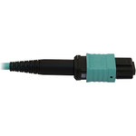 Tripp Lite N844B-02M-12-P 40/100/400G Multimode 50/125 OM3 Fiber Optic Cable (12F MTP/MPO-PC F/F) LSZH Aqua 2 m (6.6 ft.)