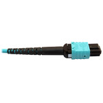 Tripp Lite N846D-03M-24DAQ 400G Multimode 50/125 OM4 Plenum Fiber Optic Cable 24F MTP/MPO-UPC to 16F MTP/MPO-UPC (F/F) Aqua 3 m