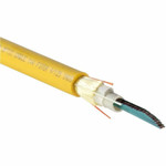 Panduit FFDPBF048F OS2 (G.657.A2) 48-Fiber Indoor Distribution Cable, OFNP, 