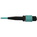 Tripp Lite N844X-01M-8L-P 40/100/400G Multimode 50/125 OM3 Fiber Optic Cable (12F MTP/MPO-PC to 4x Duplex LC/PC F/M) LSZH Aqua 1 m (3.3 ft.)