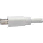 Tripp Lite P139-010-DP-V2B Keyspan Mini DisplayPort to DisplayPort Adapter Cable (M/F) 4K 60 Hz DP 1.2 HDCP 2.2 10 ft. (3.1 m)