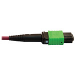 Tripp Lite N846D-05M-16DMG 400G Multimode 50/125 OM4 Plenum Fiber Optic Cable 16F MTP/MPO-APC to (x2) 12F MTP/MPO-UPC (F/F) Magenta 5 m