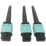 Tripp Lite N846D-01M-24BAQ 400G Multimode 50/125 OM4 Plenum Fiber Optic Cable 24F MTP/MPO-PC to (x2) 12F MTP/MPO-PC (F/F) Aqua 1 m