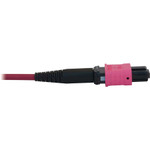 Tripp Lite N858B-38M-3X8MG 40/100G Multimode 50/125 OM4 Fiber Optic Cable (3x8F MTP/MPO-PC F/F) LSZH Magenta 38 m (124.7 ft.)