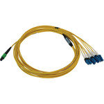 Tripp Lite N390X-05M-8L-AP 400G Singlemode 9/125 OS2 Switchable Fiber Optic Cable (12F MTP/MPO-APC to 4x Duplex LC/UPC F/M) LSZH Yellow 5 m (16.4 ft.)