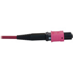 Tripp Lite N845X-03M-8L-MG 40/100G Multimode 50/125 OM4 Fiber Optic Cable (12F MTP/MPO-PC to 4x Duplex LC/PC F/M), LSZH, Magenta, 3 m (9.8 ft.)