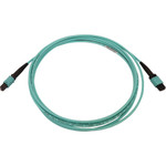 Tripp Lite N844B-03M-12-P 40/100/400G Multimode 50/125 OM3 Fiber Optic Cable (12F MTP/MPO-PC F/F) LSZH Aqua 3 m (9.8 ft.)