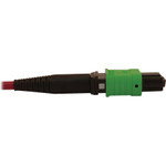 Tripp Lite N845-02M-8S-MG 40/100/400G Multimode 50/125 OM4 Breakout Fiber Optic Cable (16F MTP/MPO-APC to 8x Duplex SN-PC F/M), LSZH, Magenta, 2 m (6.6 ft.)