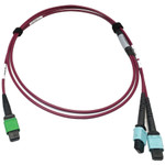 Tripp Lite N846D-01M-16DMG 400G Multimode 50/125 OM4 Plenum Fiber Optic Cable 16F MTP/MPO-APC to (x2) 12F MTP/MPO-UPC (F/F) Magenta 1 m