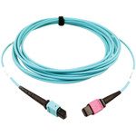 Tripp Lite N846D-05M-24DAQ 400G Multimode 50/125 OM4 Plenum Fiber Optic Cable 24F MTP/MPO-UPC to 16F MTP/MPO-UPC (F/F) Aqua 5 m