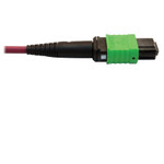 Tripp Lite N846D-05M-16AMG 400G Multimode 50/125 OM4 Plenum-Rated Fiber Optic Cable 16F MTP/MPO-APC (F/F) Magenta 5 m