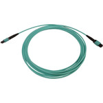 Tripp Lite N842B-05M-12-MF 40/100/400G Multimode 50/125 OM3 Fiber Optic Cable (12F MTP/MPO-PC M/F) LSZH Aqua 5 m (16.4 ft.)