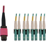 Tripp Lite N845X-01M-8L-MG 40/100G Multimode 50/125 OM4 Fiber Optic Cable (12F MTP/MPO-PC to 4x Duplex LC/PC F/M), LSZH, Magenta, 1 m (3.3 ft.)